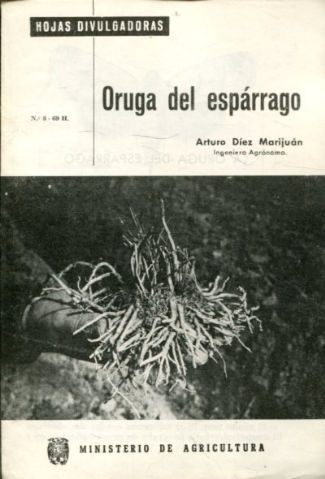 ORUGA DEL ESPARRAGO.