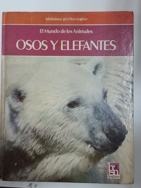 Osos y Elefantes