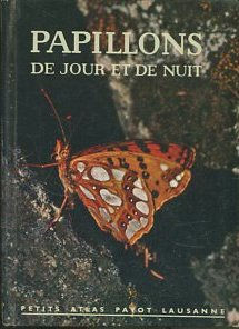 PAPILLONS DE JOUR ET DE NUIT.