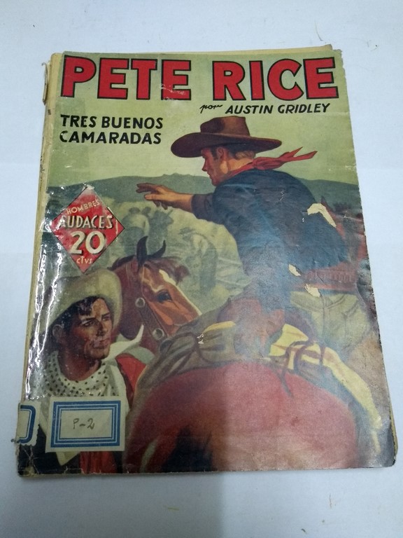 Peter Rice. Tres buenos camaradas