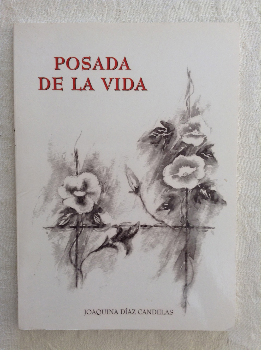 Posada de la vida