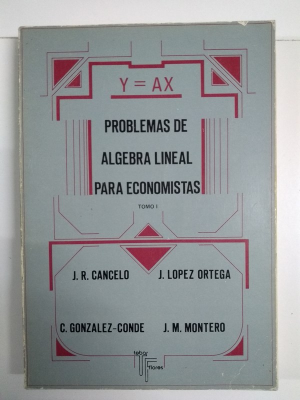 Problemas de algebra lineal para economistas, I