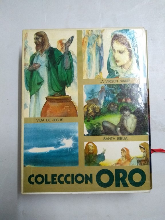 Santa Biblia. La Virgen María. Vida de Jesús