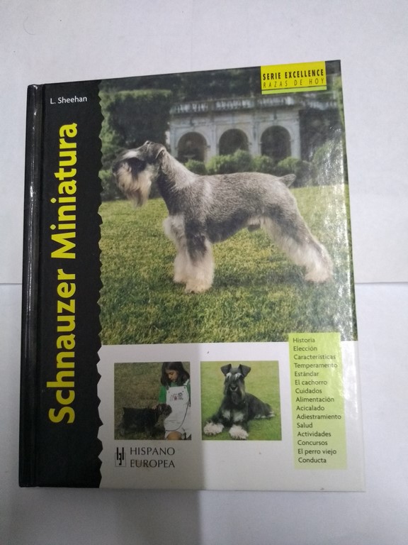 Schnauzer Miniatura