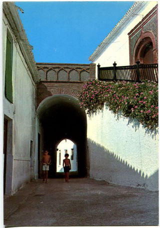 TARJETA POSTAL DE SALOBREÑA. Nº 5: RINCON TIPICO.