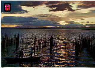 TARJETA POSTAL DE VALENCIA. Nº 1103. LA ALBUFERA. PUESTA DE SOL.