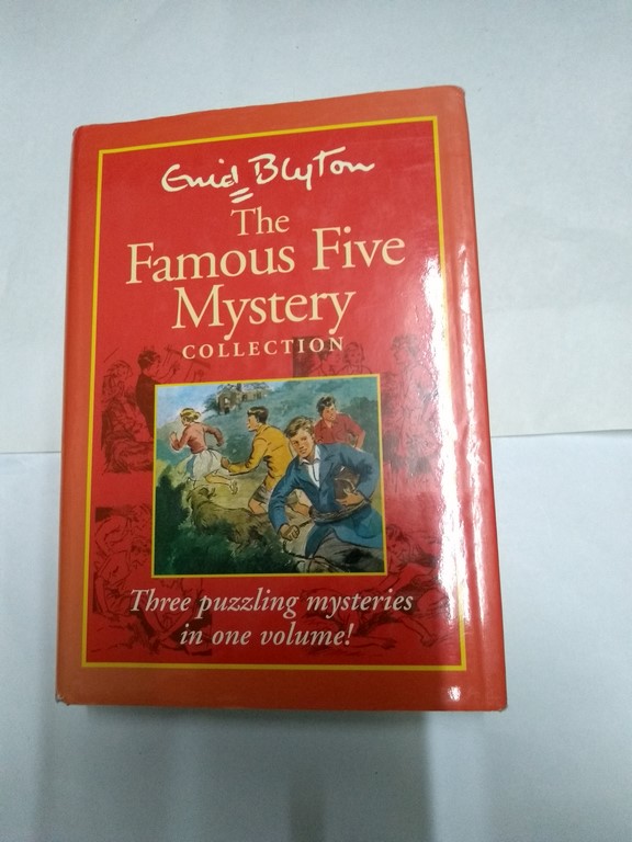 The Famous Five Mystery