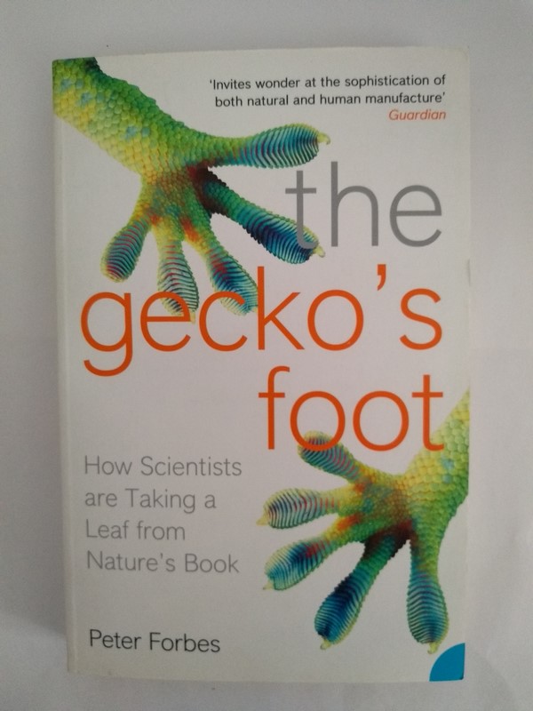 The gecko's foot