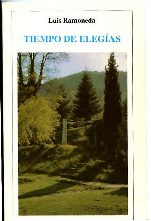 TIEMPO DE ELEGIAS.