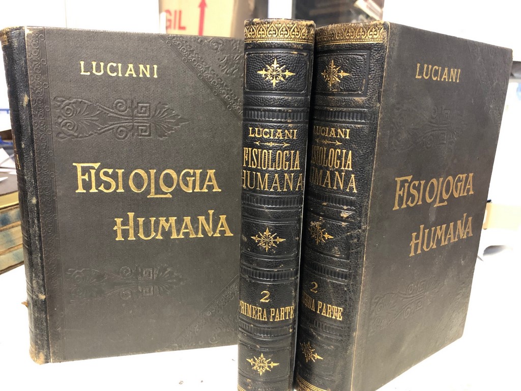 TRATADO DIDACTICO DE FISIOLOGIA URBANA (2 VOLUMENES EN TRES TOMOS).