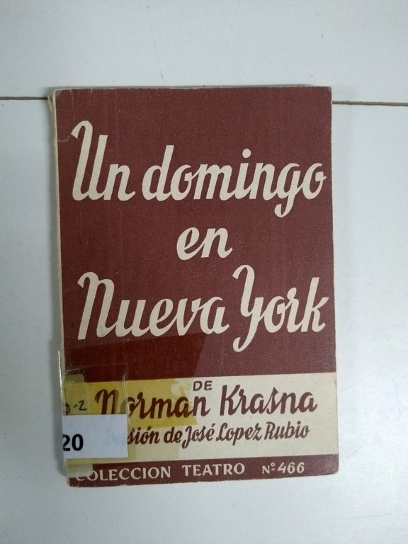 Un domingo en Nueva York